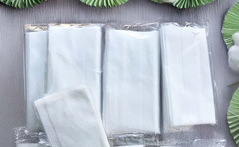 Haygi Disposable Towel